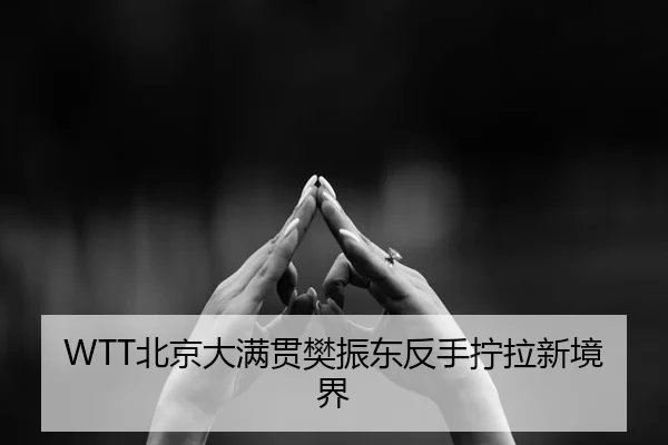 bei-jing-da-man-guan-fan-zhen-dong-fan-shou-ning-la-xin-jing-jie-3-771.jpg