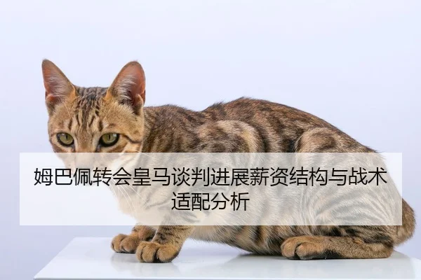 姆巴佩转会皇马谈判进展薪资结构与战术适配分析