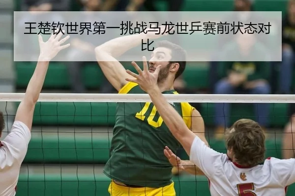 wang-chu-qin-shi-jie-di-yi-tiao-zhan-ma-long-shi-ping-sai-qian-zhuang-tai-dui-bi-3-533.jpg